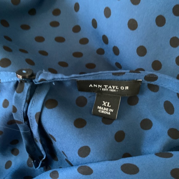 ANN TAYLOR | Sheer Blue Polka Dot Blouse - Picture 5 of 5